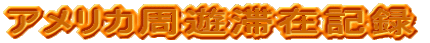 �A�����J���V�؍݋L�^