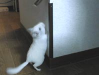�����B�����肽���c