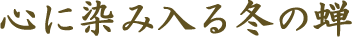 �S�ɐ��ݓ���~�̐�