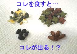 �ʉߑO�{�ʉߌ�