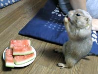 ��������b