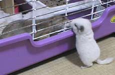��낵��[�􂿂�