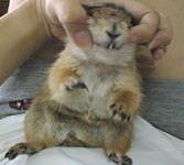 �łւց`�܂��܂��������