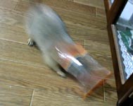 �ʁB�ʂ�����G