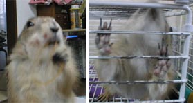 �`�E�����炯�c
