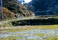�t���[�T�C�g