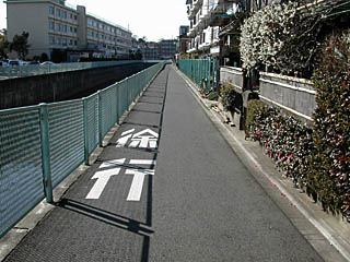 �T���߂Ȏ咣