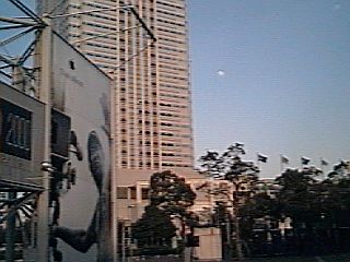 �����̌�