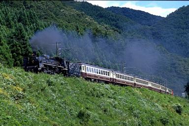 ���R�h-�֒�M�C��