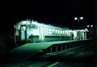 ��̑����w