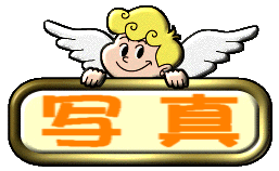 �A�C�h�����[�X�N�B�[���㌴���b�E�ʐ^�E�摜