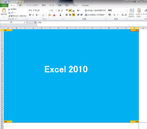 Excel2010/2007