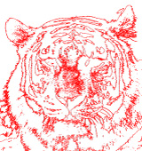 CADϊ2