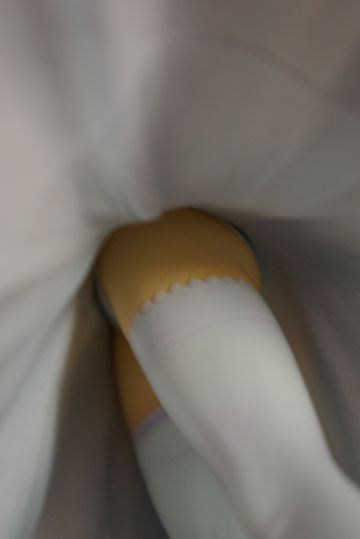 スカートの中