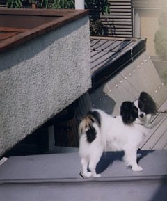 写真「日向ぼっこに行こう!!」