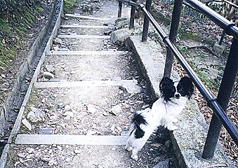 写真「早くおいでよ」
