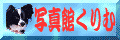 �ʐ^�ق���ރA�j���A�C�R���i�P�j