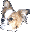 ���ȏЉ�̃y�[�W��