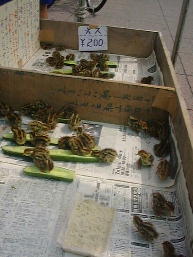 �q�i���S�i