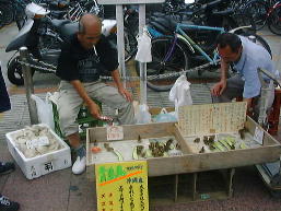 �X�Ƃ��������