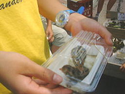 ���ނ��уp�b�N�ɓ������q�i�q�i�B