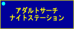 アダルトサーチ ナイトステーション