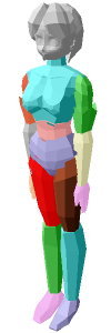 六角大王の人体モデル