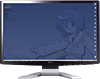 ACER P243W LCD Monitor
