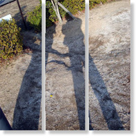2005�N2��9�� �I�����}�����`��