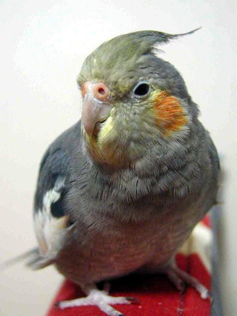 �P