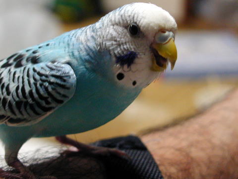 �Q