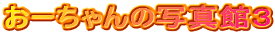 ���[�����̎ʐ^�قR