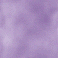 L̖.gif2.80KB