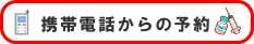 �ˏ������ȁ@�g�ѓd�b����̗\��