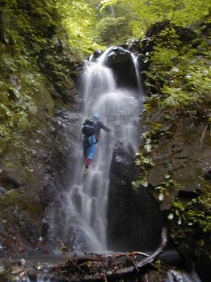 �W�����e�A�V�����[�N���C�~���O