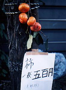 柿、500円
