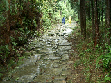 Ishi-Datami (Stone pavement)