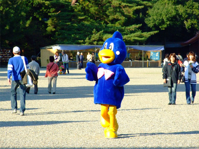 03.jpg
