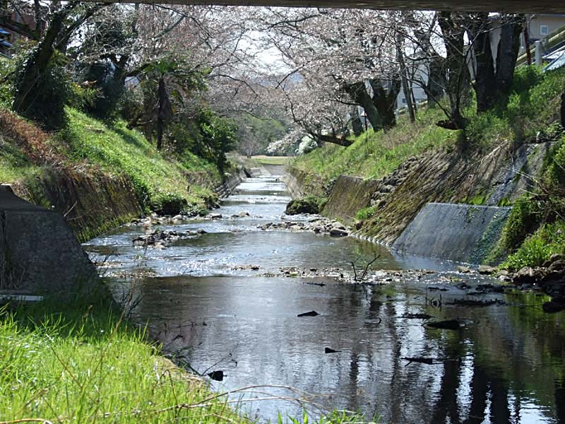 seki_005.JPG