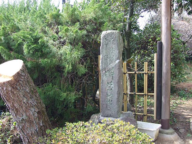 seki_020.JPG