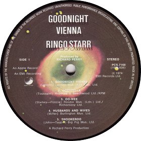 GOODNIGHT VIENNA1