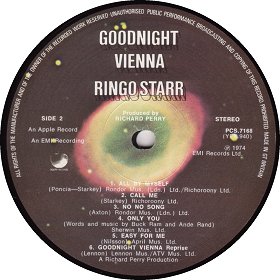 GOODNIGHT VIENNA2