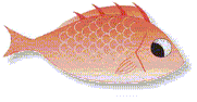 �u�����t���̑�ɂȂ�B�v